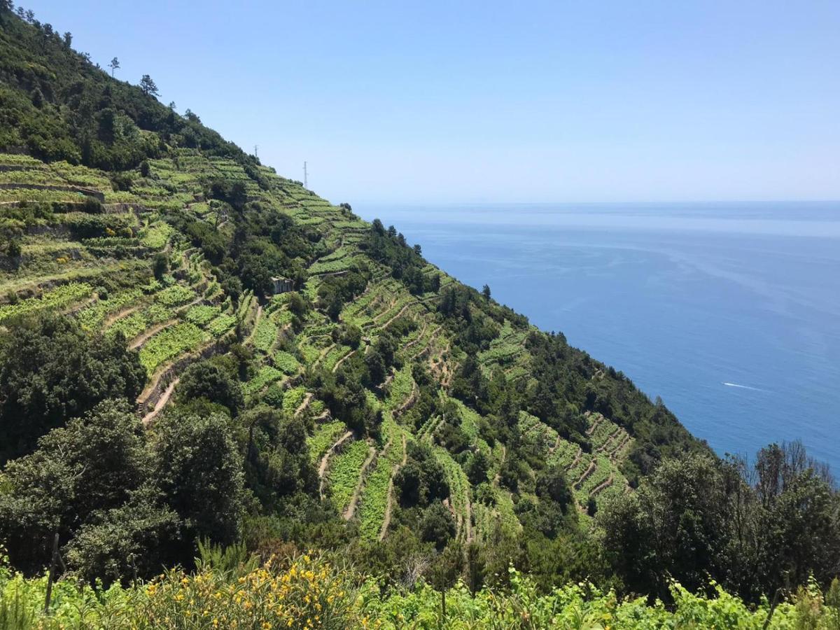 Sergiohome La Spezia Buitenkant foto